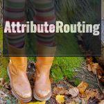 fun socks, boots, fall
