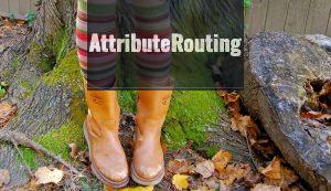 fun socks, boots, fall