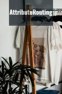 ropa